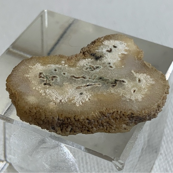 Las Torres Mine Uruguay Stalactite Slice Polished Crystal Display Specimen 1.4 - Picture 3 of 7